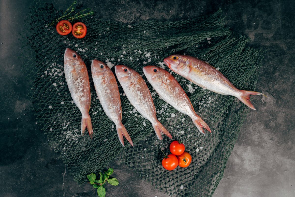 The Environmental Impacts of Buying and Consuming Mislabeled Seafood